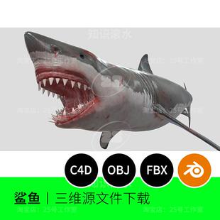 大白鲨恐怖血口牙齿鲨鱼3D模型blender建模C4D素材OBJ文件1906