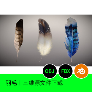 炫彩羽毛贴图3D模型建模素材blender三维OBJ文件下载716