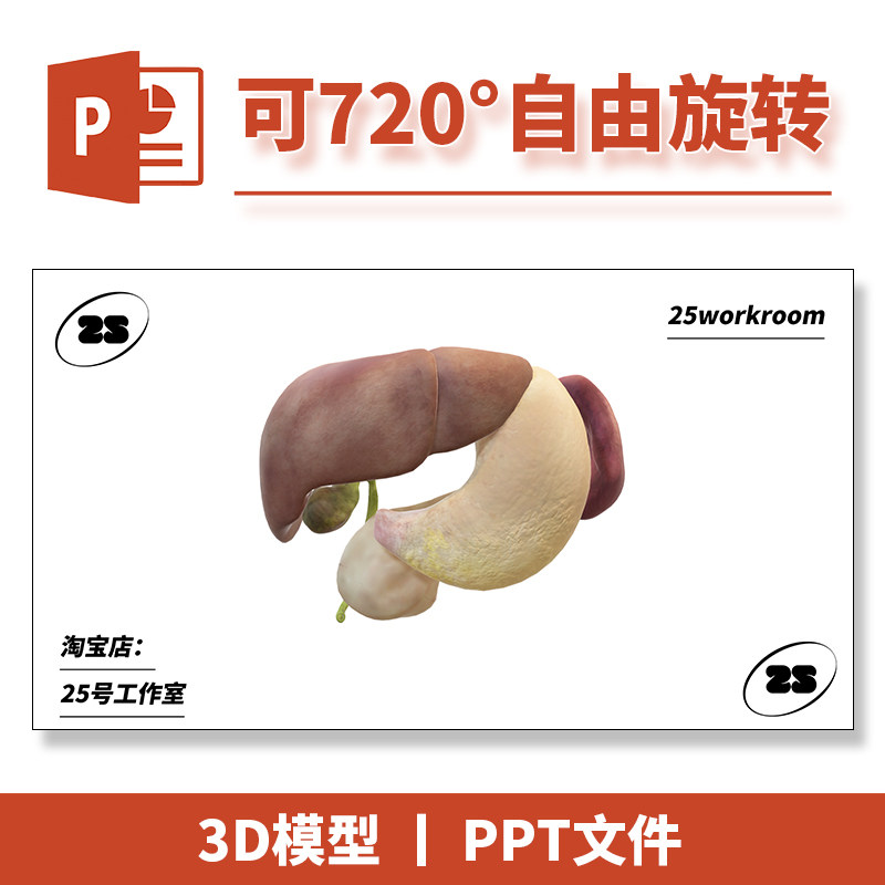 PPT文档生物医学解剖肝脏脾脏胰腺胃3D模型模板初中教学教材课件1
