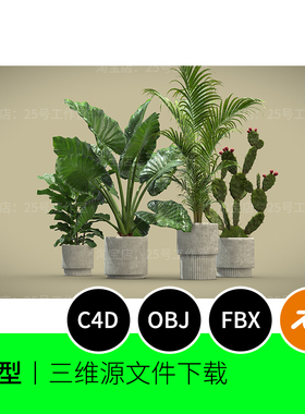 室内植物仙人掌盆栽棕榈树3D模型blender建模C4D素材OBJ海芋1657