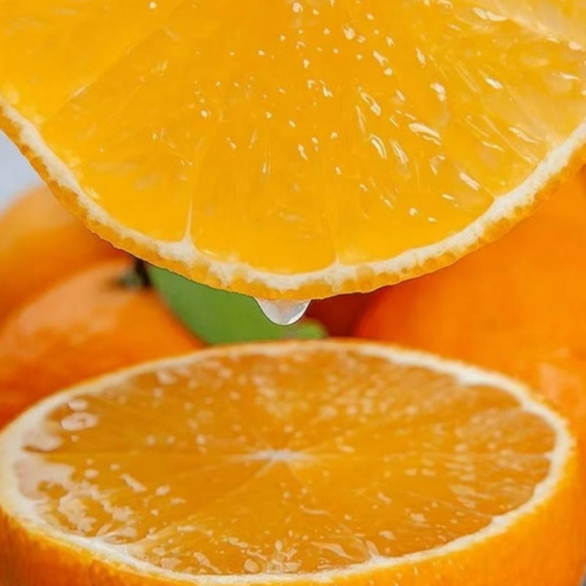 眉山正宗爱媛果冻橙！