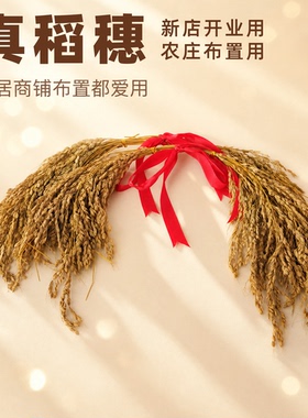 稻穗捆红绳手工捆扎墙面挂件装饰