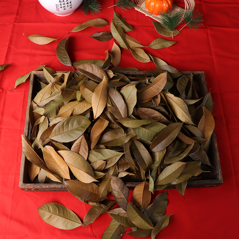 叶子书签植物拼贴画标本幼儿园diy枯叶天然树叶干花拍摄道具背景