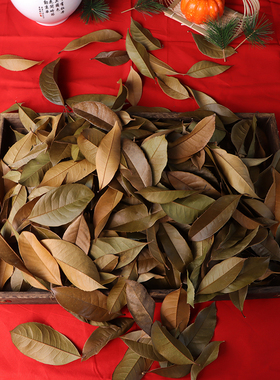 叶子书签植物拼贴画标本幼儿园diy枯叶天然树叶干花拍摄道具背景