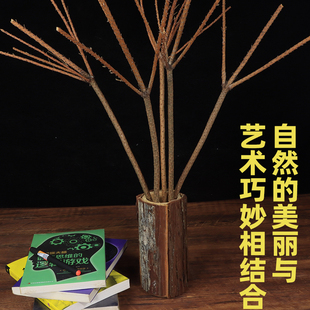 树枝干花diy客厅天然餐厅阳台造型干树枝丫树干造景家居饰品摆件