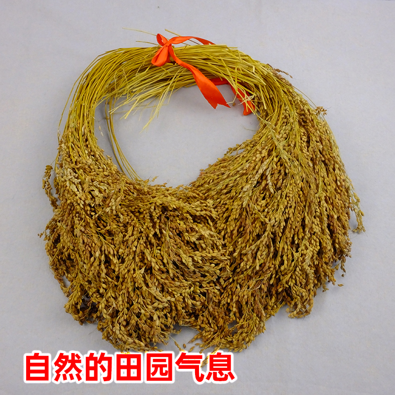 糯米稻穗布景拍摄道具装饰