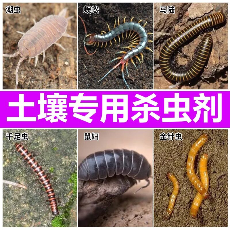 盆栽花盆土壤害虫杀虫剂鼠妇千足虫蜈蚣蚂蚁潮虫地下害虫杀虫