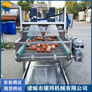 桃子清洗机 商用大型食品厂全自动气泡水果清洗机 苹果清洗设备