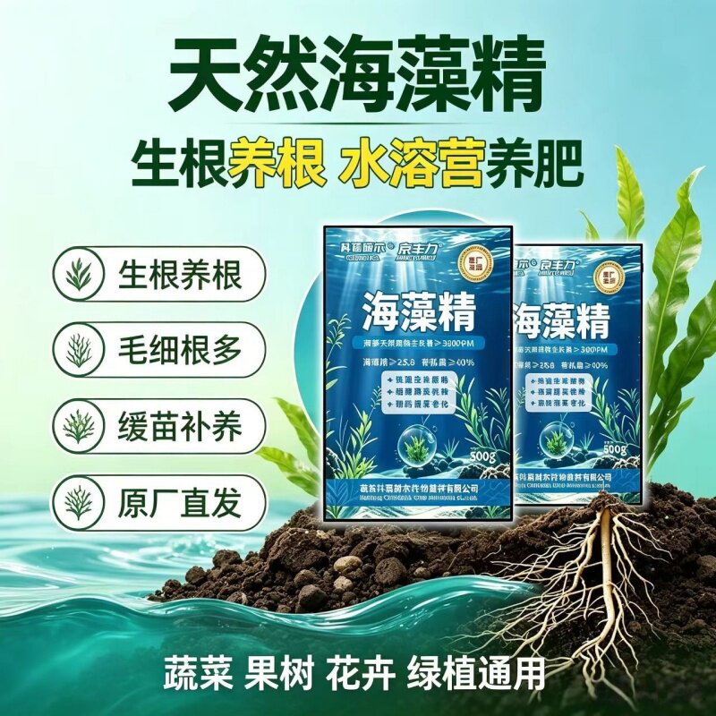 海藻精生根壮苗防根老化肥料厂家