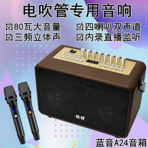 蓝音蓝音A24电吹管专用音响大功率蓝牙萨克斯乐器直播内录便携K歌
