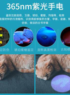 物兮365纳米紫光灯紫外线手电筒365紫光灯验钞灯玉石翡翠鉴定防伪