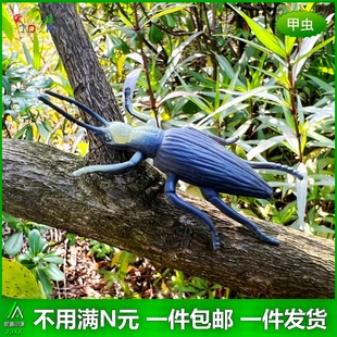 可爱幼儿园儿童玩具可爱瓢虫假昆虫动物模型 仿真小甲壳虫12只套装
