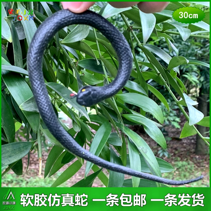 仿真蛇软胶橡胶假蛇包邮