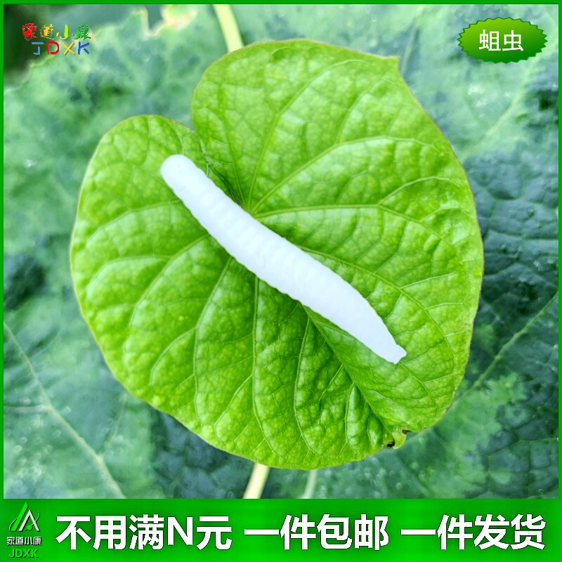 软胶橡胶仿真蚯蚓毛毛虫蛆虫路亚