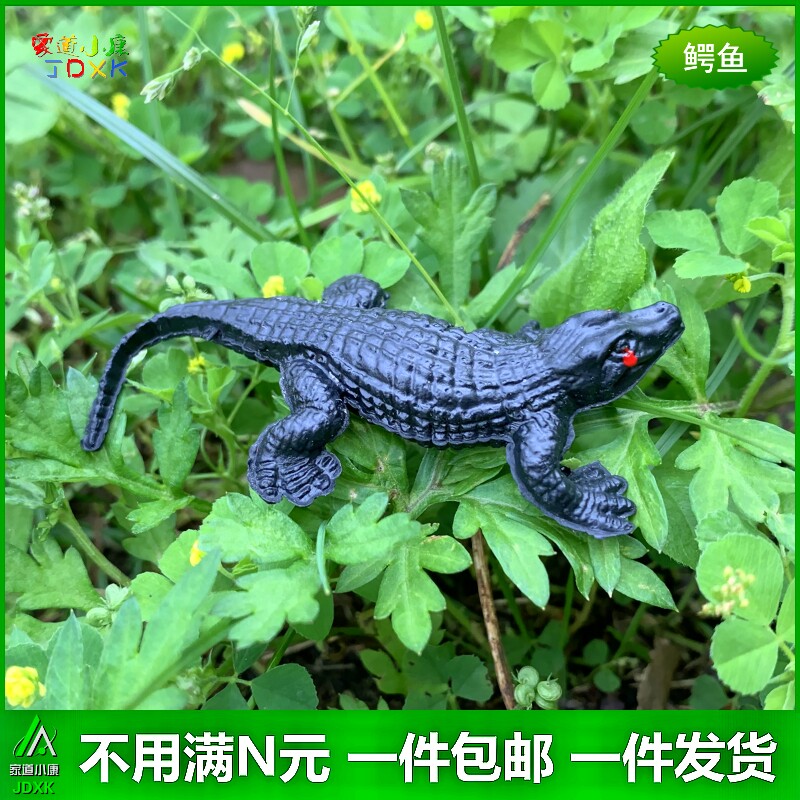 小鳄鱼塑胶包邮动物模型