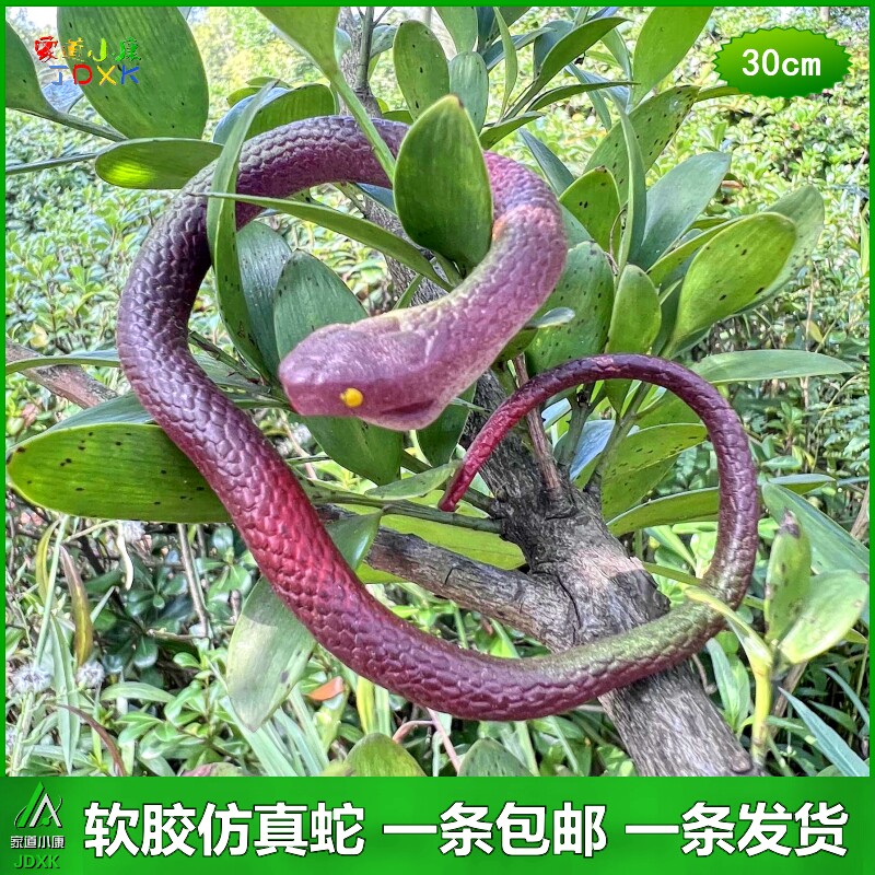 软胶仿真蛇套装彩色橡胶假蛇包邮