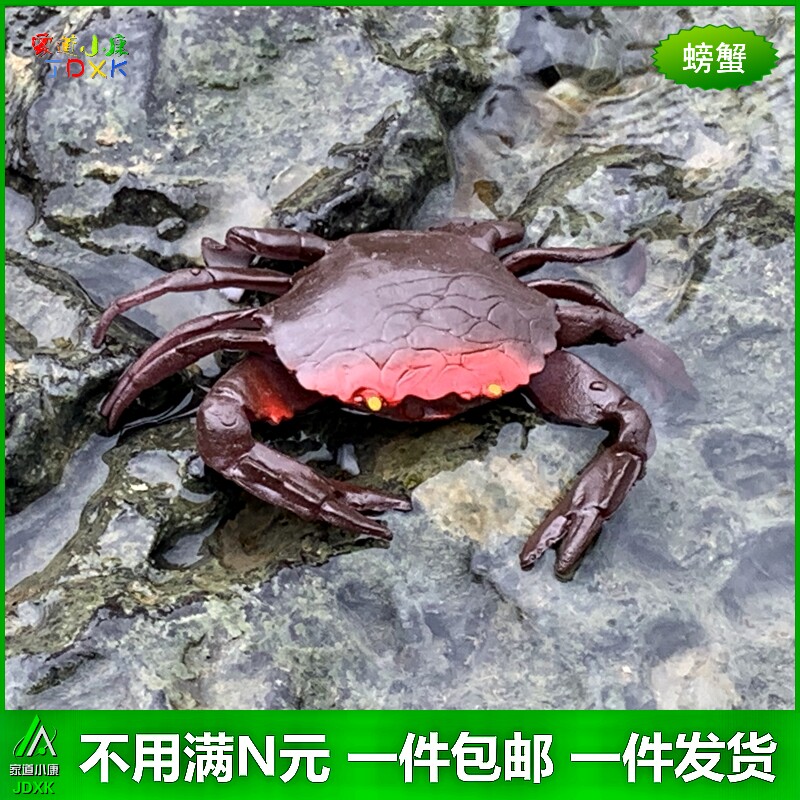 螃蟹软胶包邮玩具1111