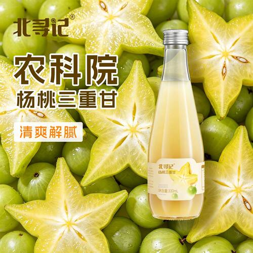 北寻记农科院杨桃三重甘果汁夏日夏天喝的饮品植物饮料整箱批特价