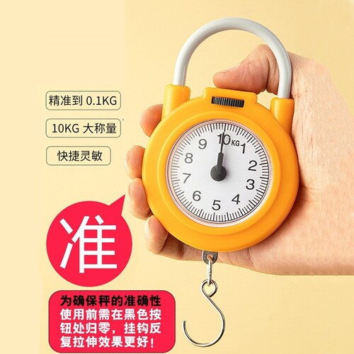 勾称手提秤弹簧秤高精度手提称便携式家用随身带小勾称小型手提秤