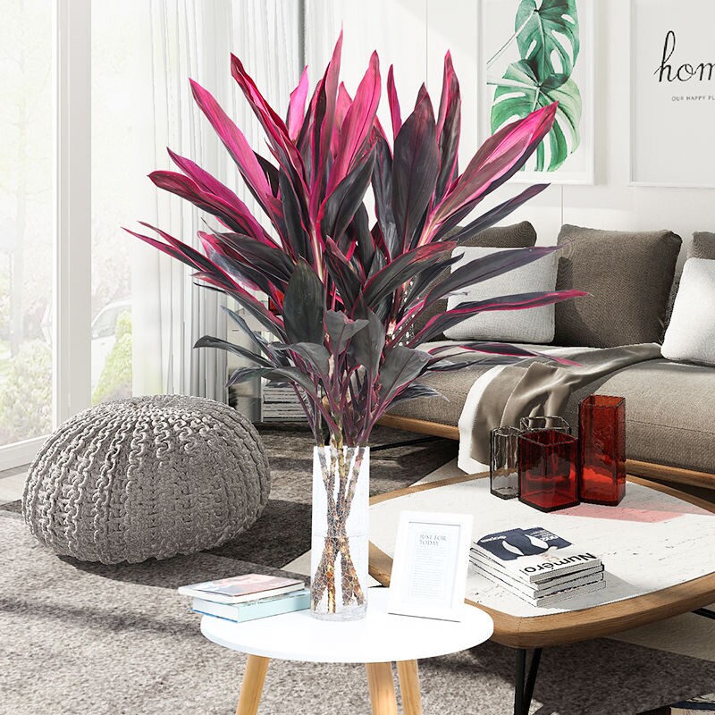 大号红竹紫竹富贵竹春节年货净化空气卧室书房水培绿植防辐射盆栽