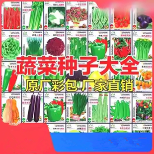 播家庭阳台盆栽庭院易种植番茄黄瓜辣椒西瓜籽孑大全 蔬菜种子四季