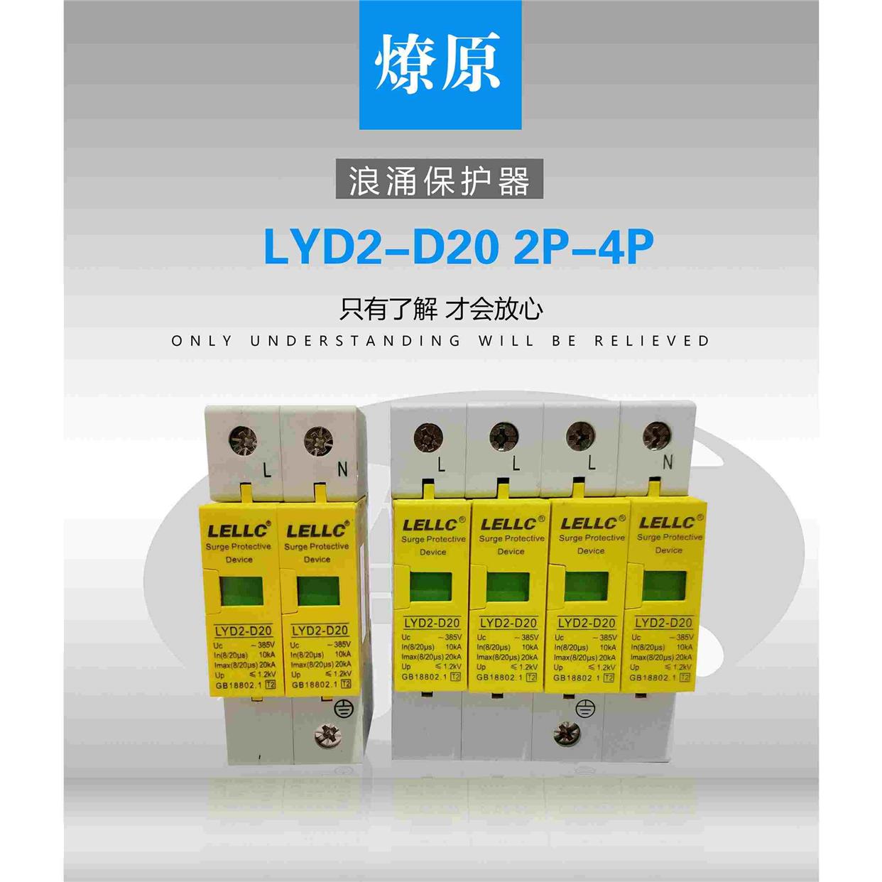 浙江燎原 浪涌保护器 LYD2-D20 10-20KA 2P 电涌保护器 防雷器