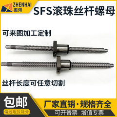 SFA滚珠丝杆螺母1210 SFS静音滚珠丝杠2525 大导轨螺杆4040 5050