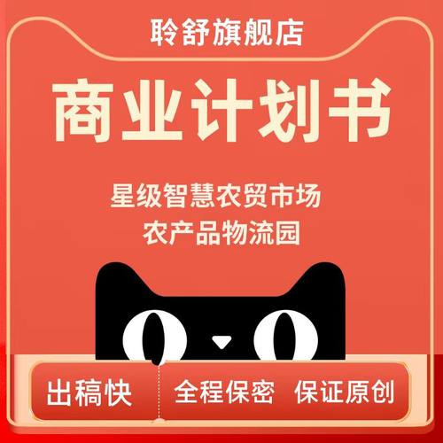 商业计划书撰写代做可行性研究报告项目立项方案策划创业融资PPT