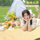 野餐垫防潮垫加厚防水可机洗户外露营便携春游垫子沙滩牛津布坐垫