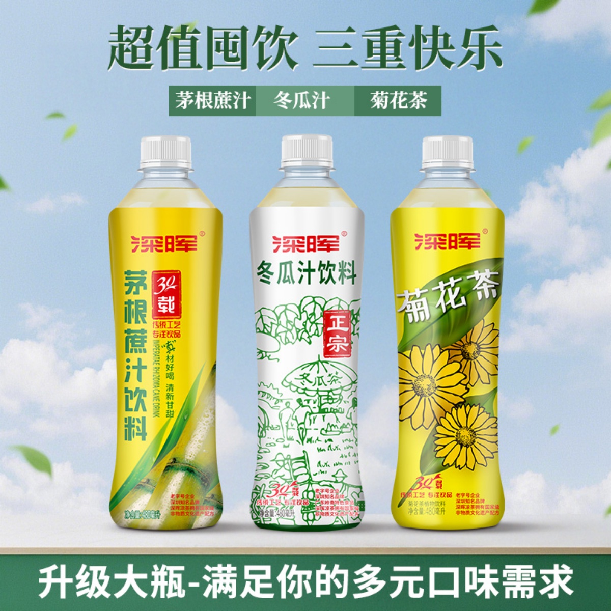 深晖0脂肪冬瓜茶480ml*15瓶