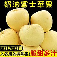 烟台正宗奶油富士霜降苹果 现摘现发产地直供