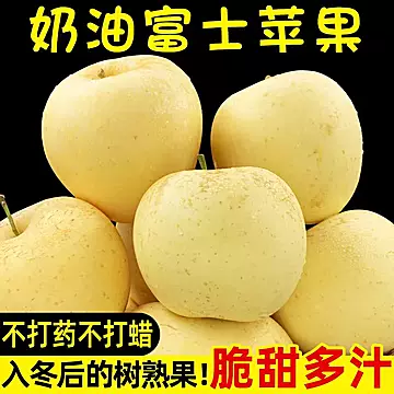烟台正宗奶油富士霜降苹果 现摘现发产地直供