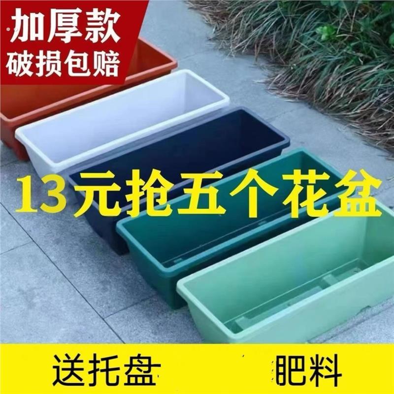 种菜专用箱泡沫阳台种菜盆长方形塑料花盆家庭蔬菜种植盆种菜神器