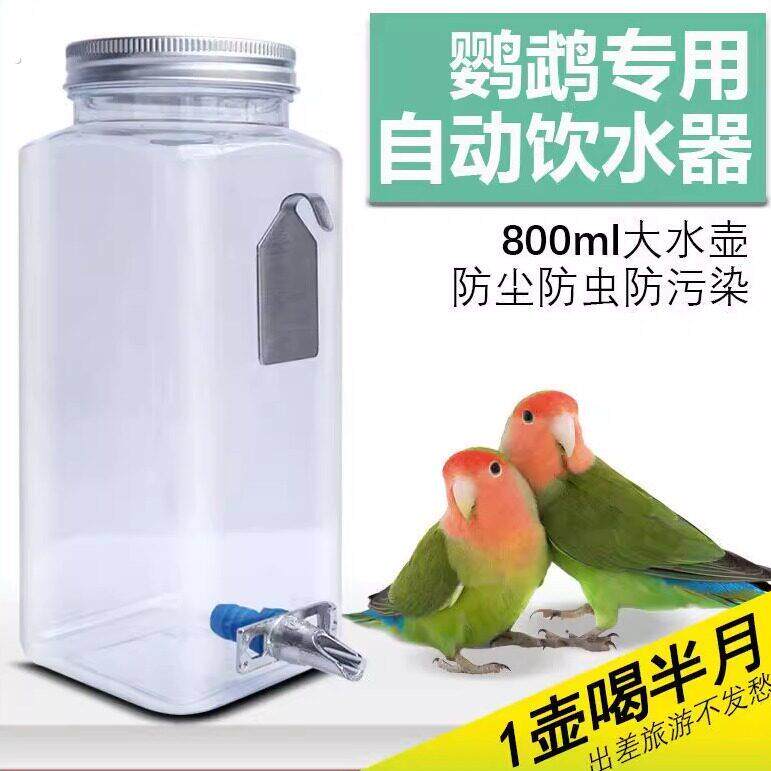 鸟用饮水器鹦鹉八哥虎皮玄风鹩哥兔子自动喝水喂水器撞针水壶用品