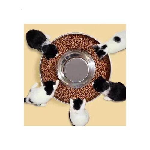 多猫食盆繁育碗大饭盘猫粮碗幼猫犬专用盆不锈钢超大号防打翻宠物