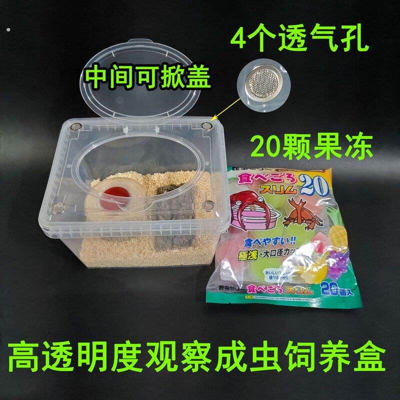 爬虫生态造景饲养箱套装独角仙锹甲兜虫食台甲虫成虫养殖盒子