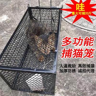 人道救助笼全自动大号捕猫笼流浪猫寻猫神器加厚捉猫笼野外抓猫笼