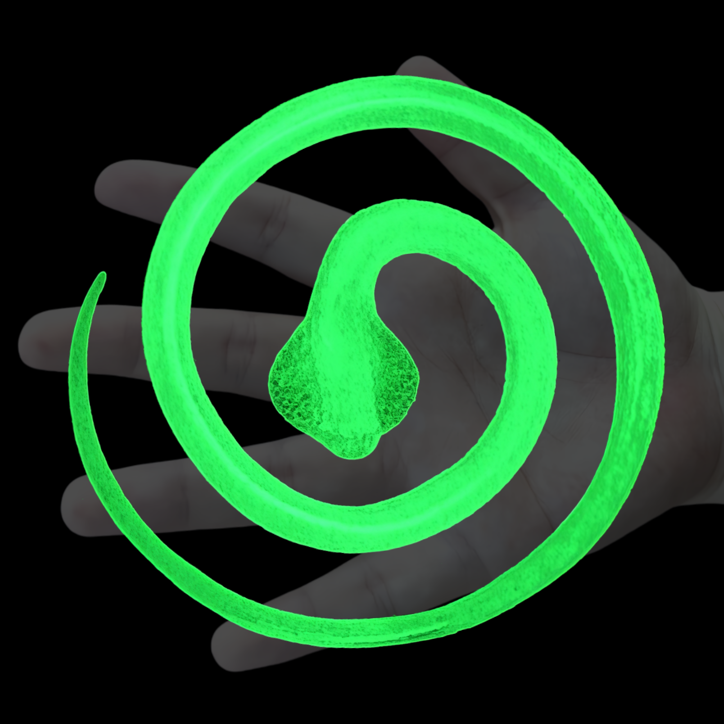 夜光软胶仿真蛇玩具眼镜蛇包邮