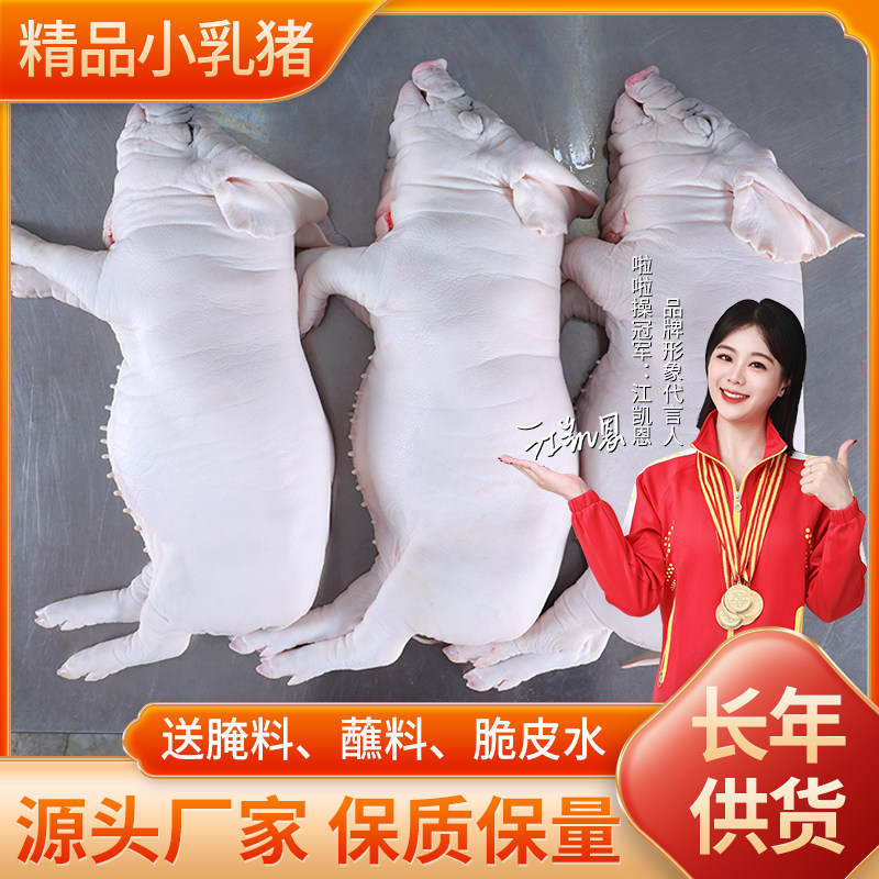 顺丰】整只冰鲜乳猪整只生冻乳猪生猪肉