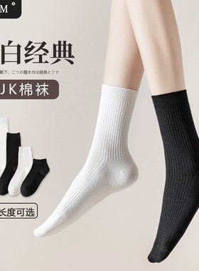 袜子女白色夏季中筒棉袜薄款双针长袜黑色jk小腿袜春秋搭小皮鞋