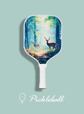 专业儿童匹克球拍亲子活动pickleball初学入门玻纤匹克球拍洞洞球