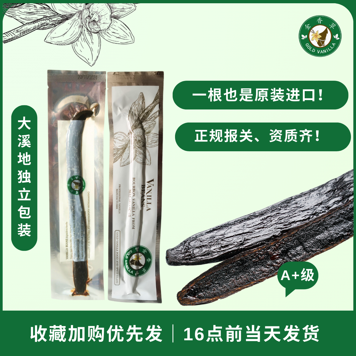 金香草马达加斯加独立包装香草荚