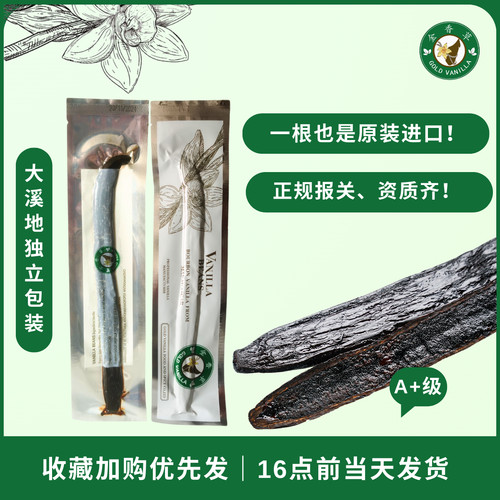 金香草马达加斯加独立包装香草荚