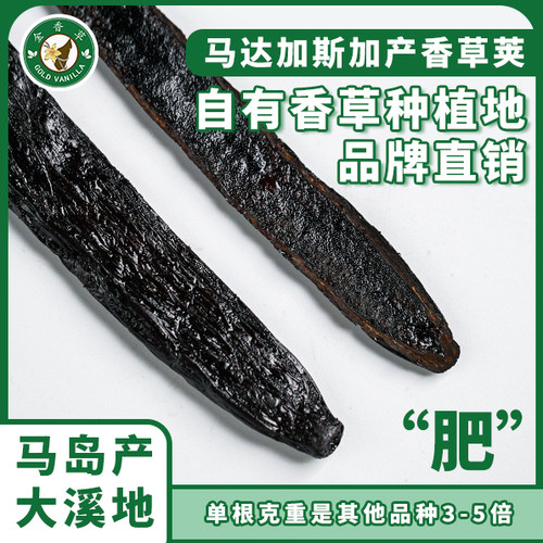 金香草大溪地马达加斯加香草豆荚