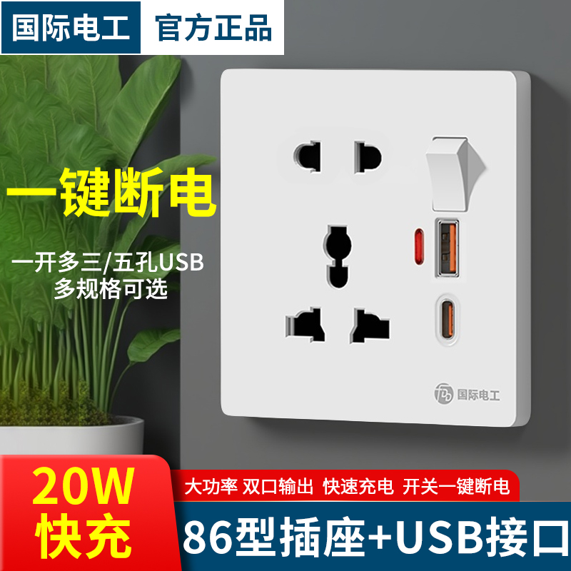 国际电工五孔USB带开关双输出口