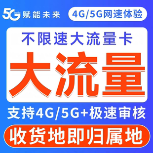 流量卡电话卡纯流量全国通用不限速手机卡福利专享大流量