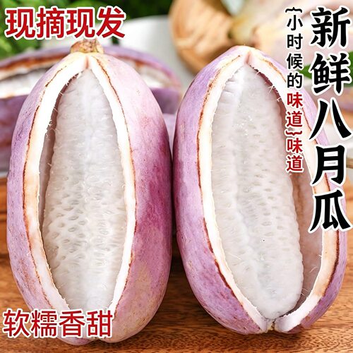 新鲜八月瓜水果八月炸当季鲜野香蕉8月果现摘九月黄预知子