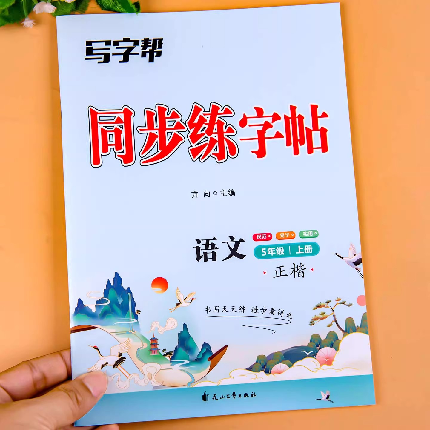 五年级上册语文练字帖同步人教版