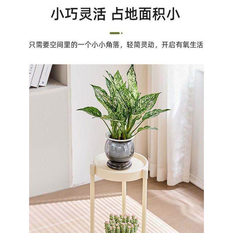 现货花架子客厅落地式置q物架室内阳台多层盆托绿萝植物摆放花盆