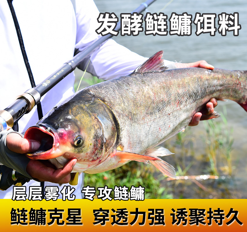 特浮钓鲢鳙鱼饵大头胖头花浮钓白鲢抛竿水怪野钓爆炸钩专用水库饵